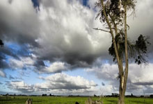 虎扑体育官网：沙特周二进行第三次训练，卡努依旧在队医陪同下康复.