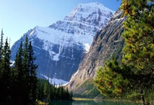 虎扑体育官网：沙特周二进行第三次训练，卡努依旧在队医陪同下康复.